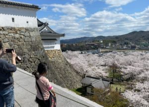 津山城（鶴山公園）｜春夏秋冬の絶景を眺める津山のシンボル【津山市】 | 岡山スタイル