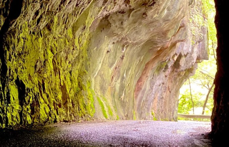 羽山渓のトンネル