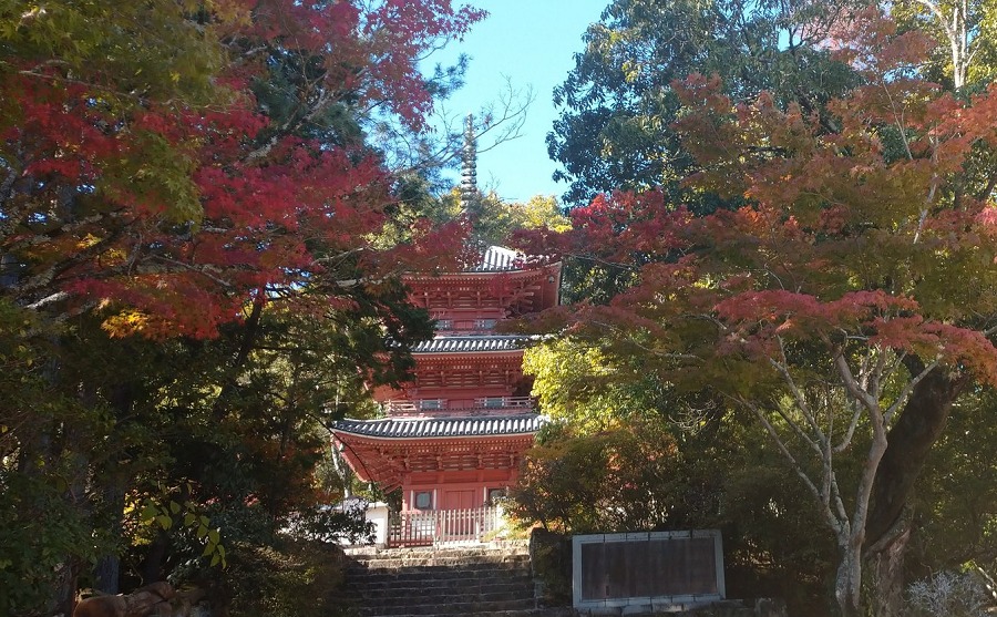 宝福寺の三重塔