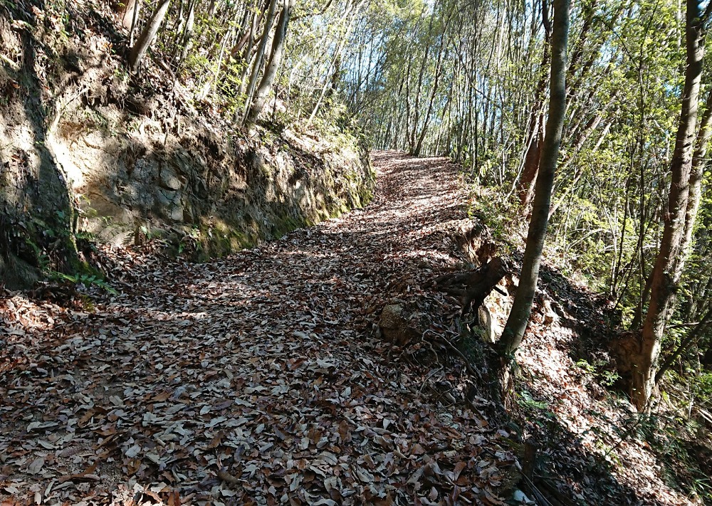 岩神神社の山道