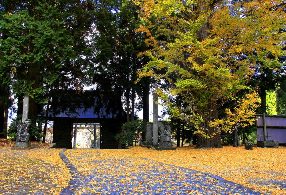 茅部神社の紅葉