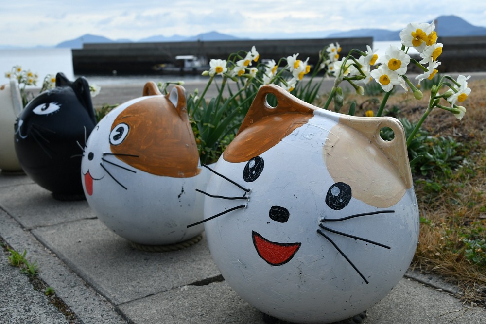 六島の猫アート