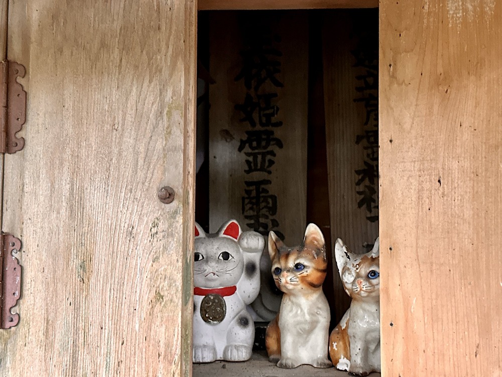 育霊神社の招き猫