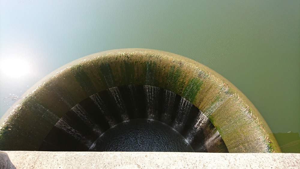 鳴滝ダム｜大きい半円越流堤の常用洪水吐