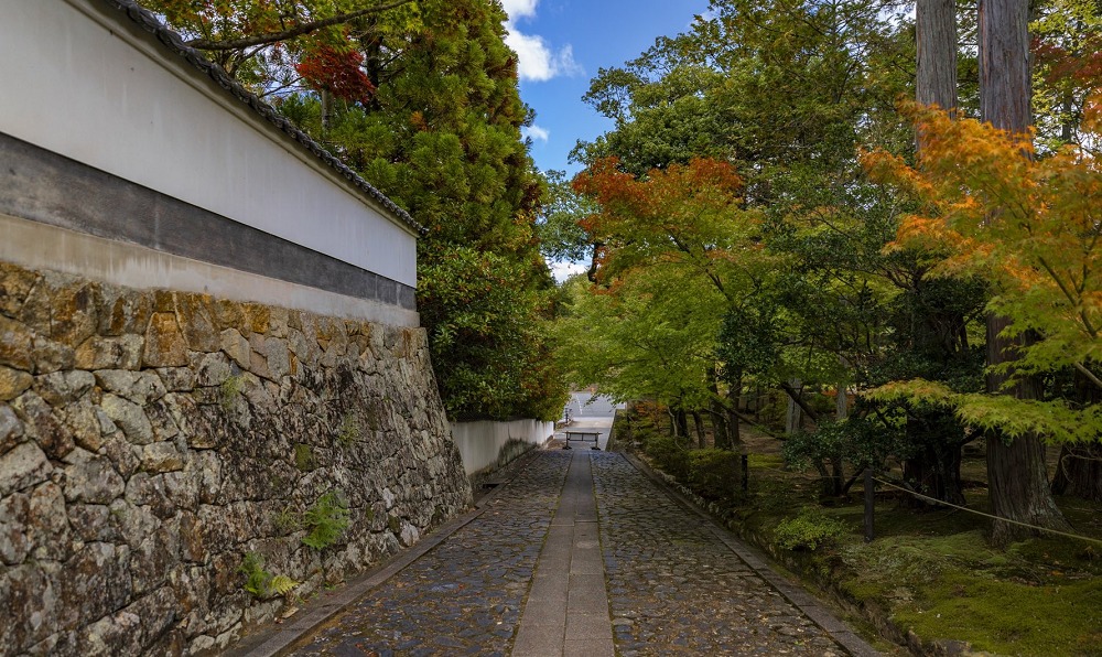 井山宝福寺の道