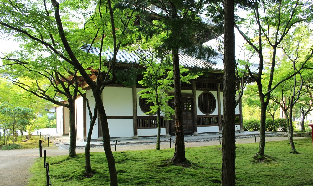 井山宝福寺の夏