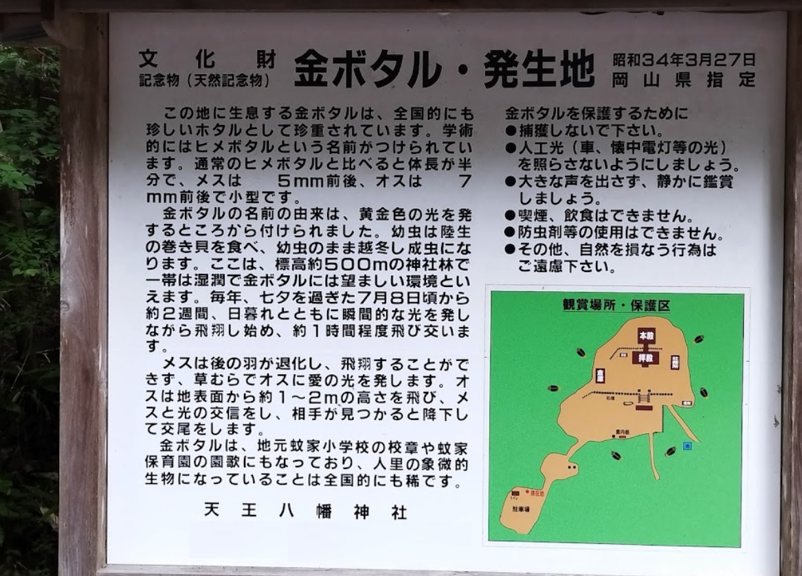 金ホタル生育地 天王八幡神社の看板
