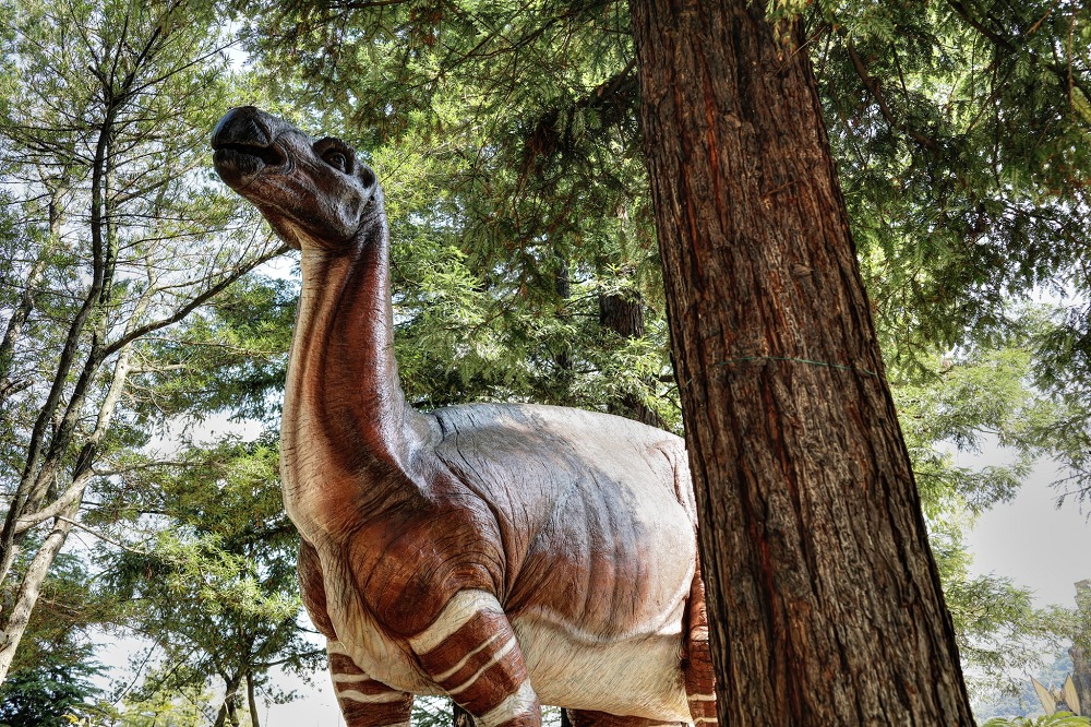 笠岡恐竜公園の恐竜と木