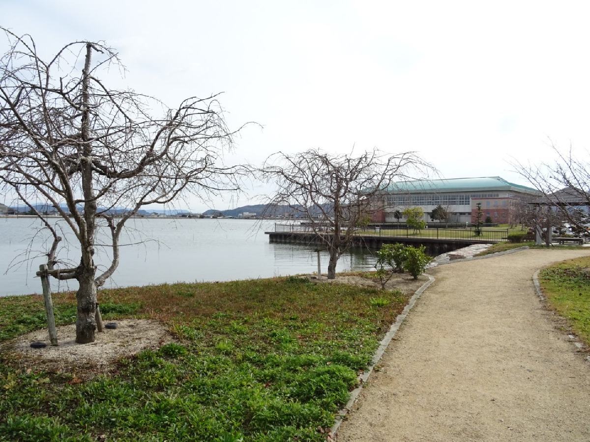 六番川水の公園