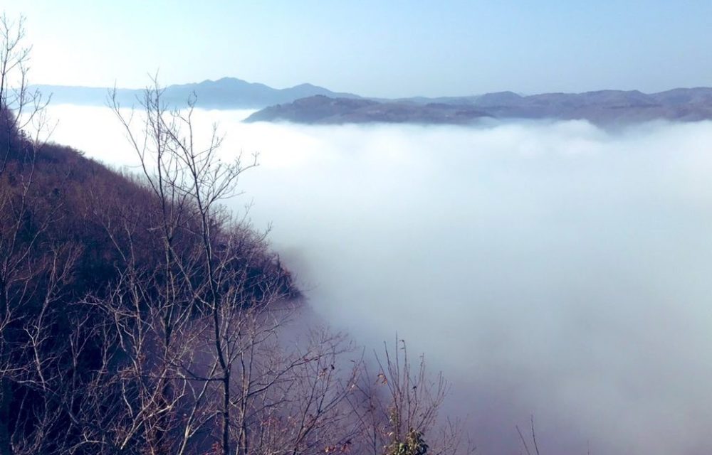 カルスト山荘展望台の雲海