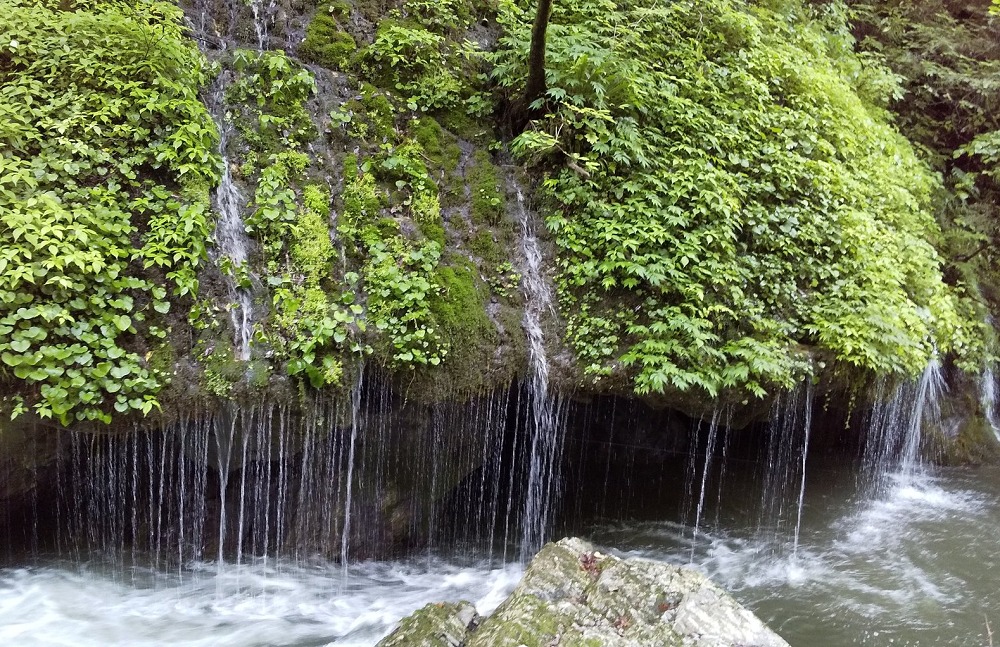 神庭の滝自然公園の玉垂の滝