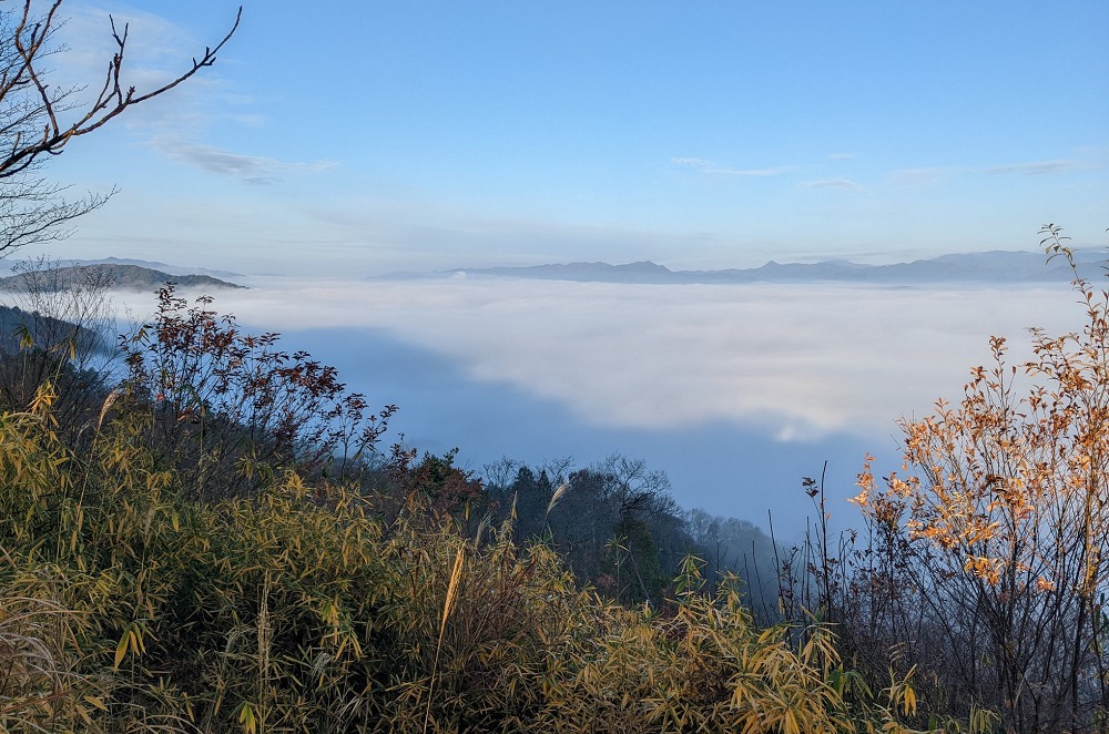 神南備山展望台の雲海