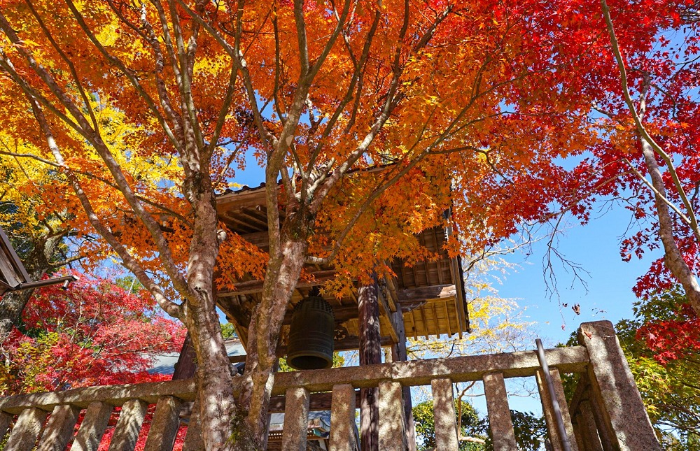 木山寺の紅葉