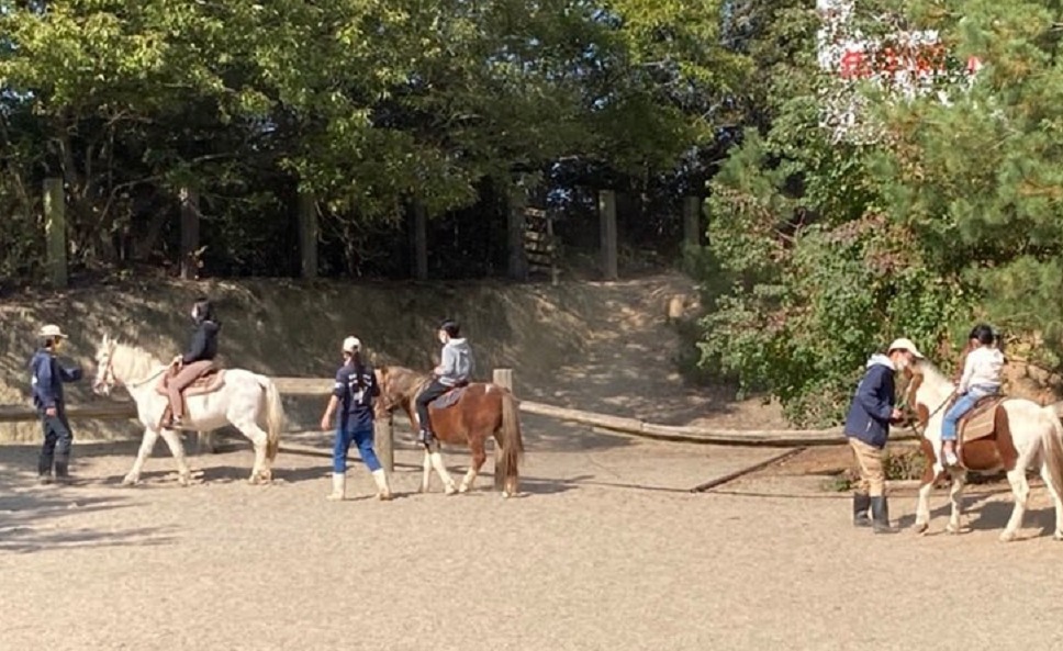 渋川動物公園の乗馬体験