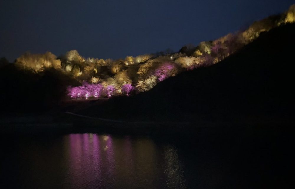 嵐山公園のライトアップ