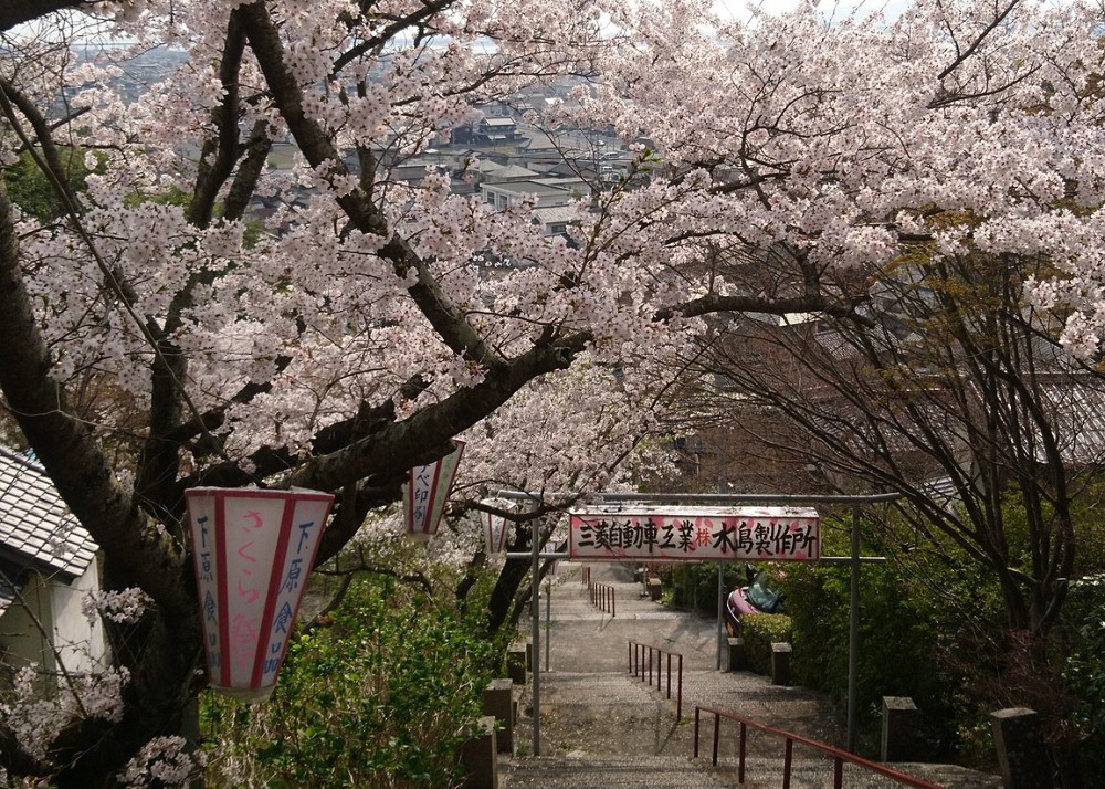 箆取神社の桜