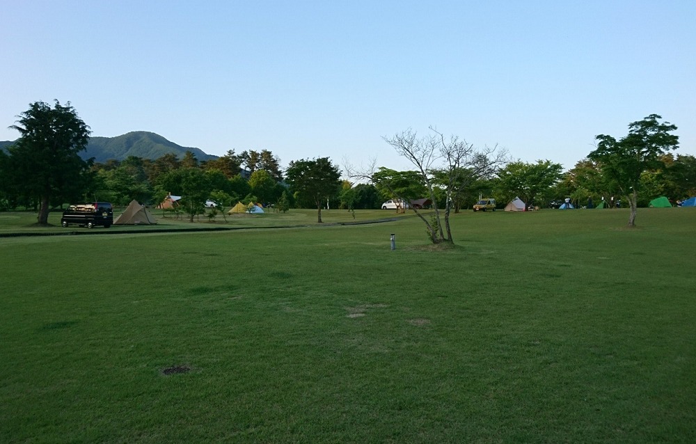 中蒜山オートキャンプ場の芝生