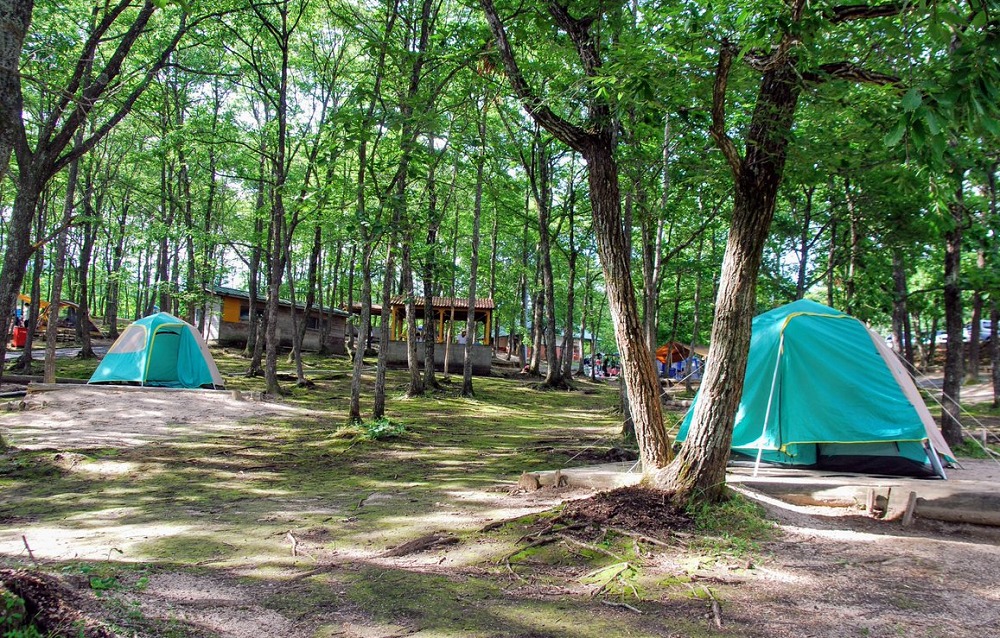 のとろ原キャンプ場のテントサイト