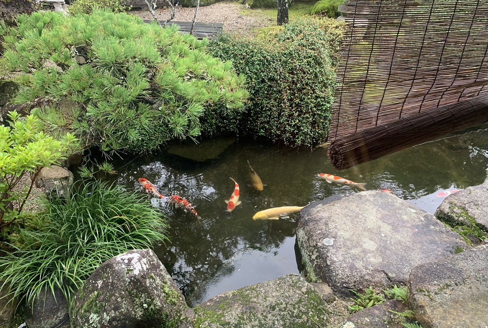 鷺の巣温泉 湯本屋旅館の池