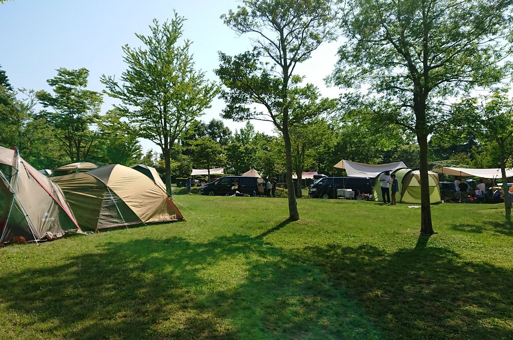 吉井竜天オートキャンプ場の芝