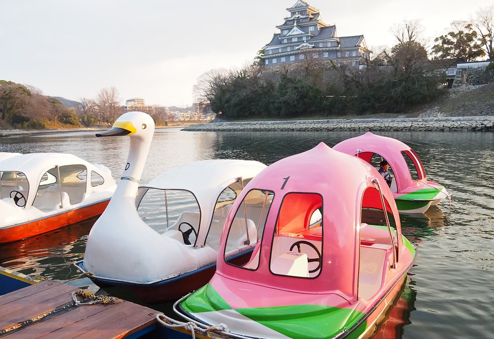 岡山城の桃ボートの様子