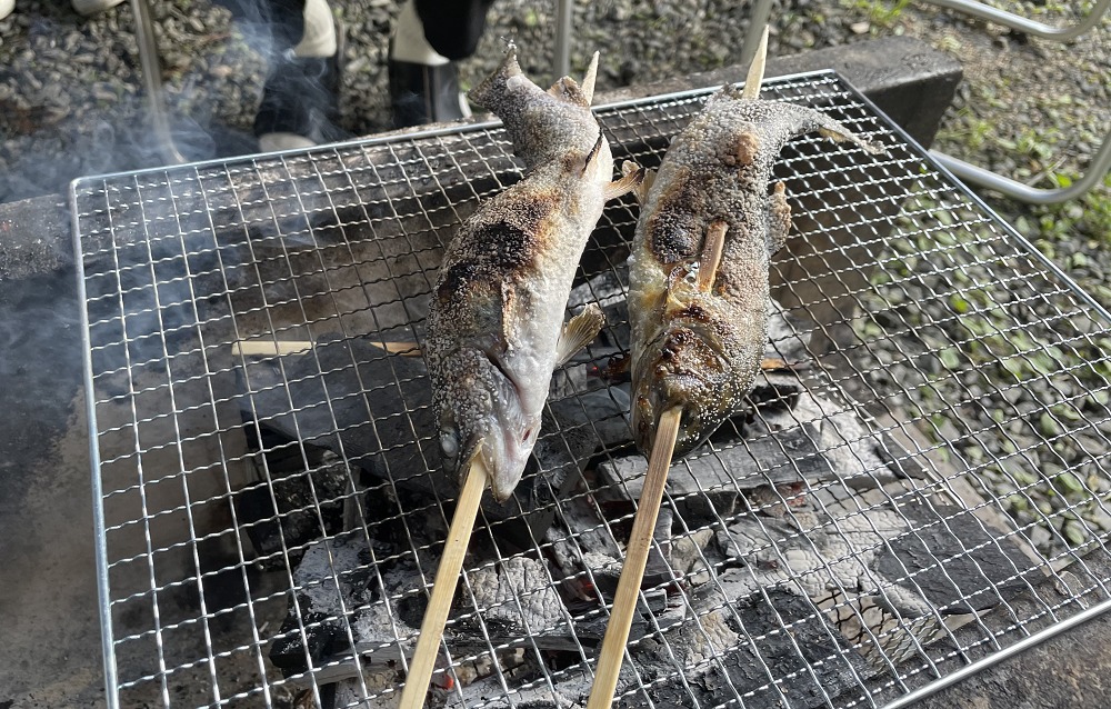トムソーヤー冒険村の焼き魚