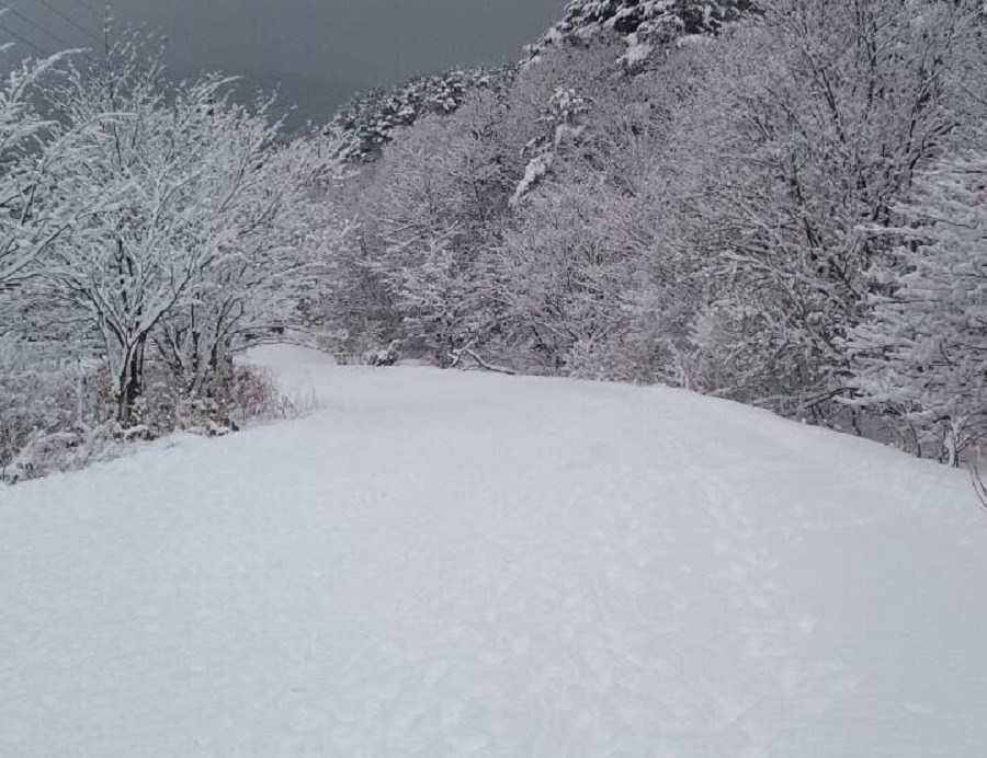 津黒高原スキー場の雪