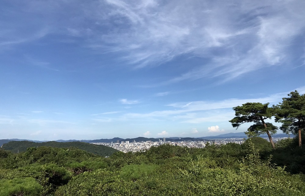 神道山の景色