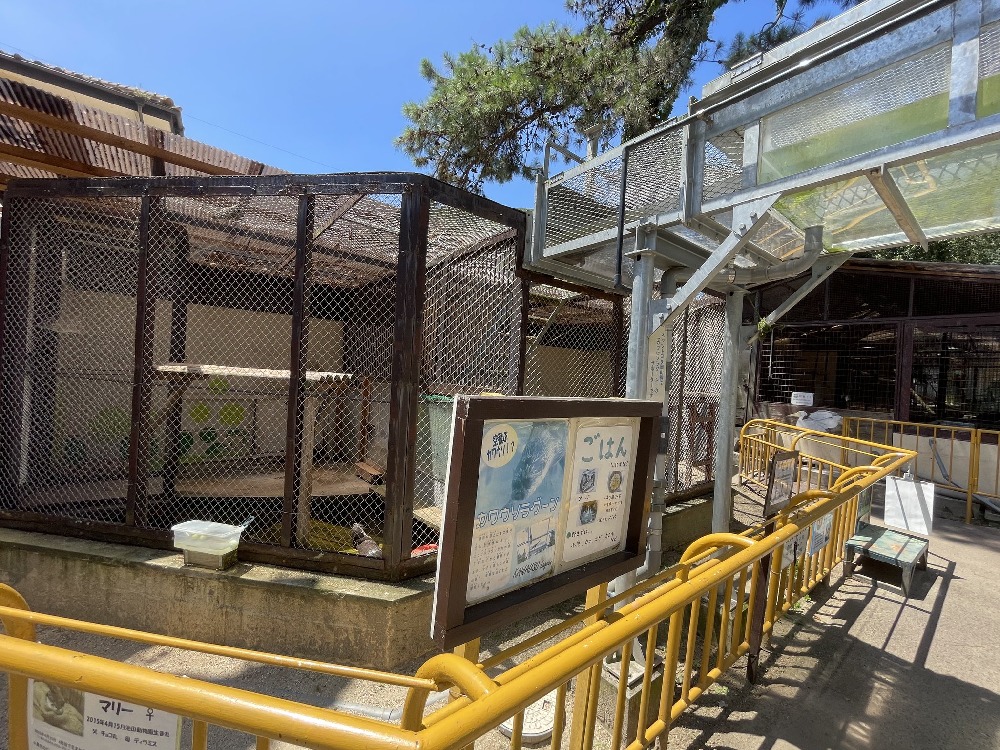 池田動物園のカワウソ