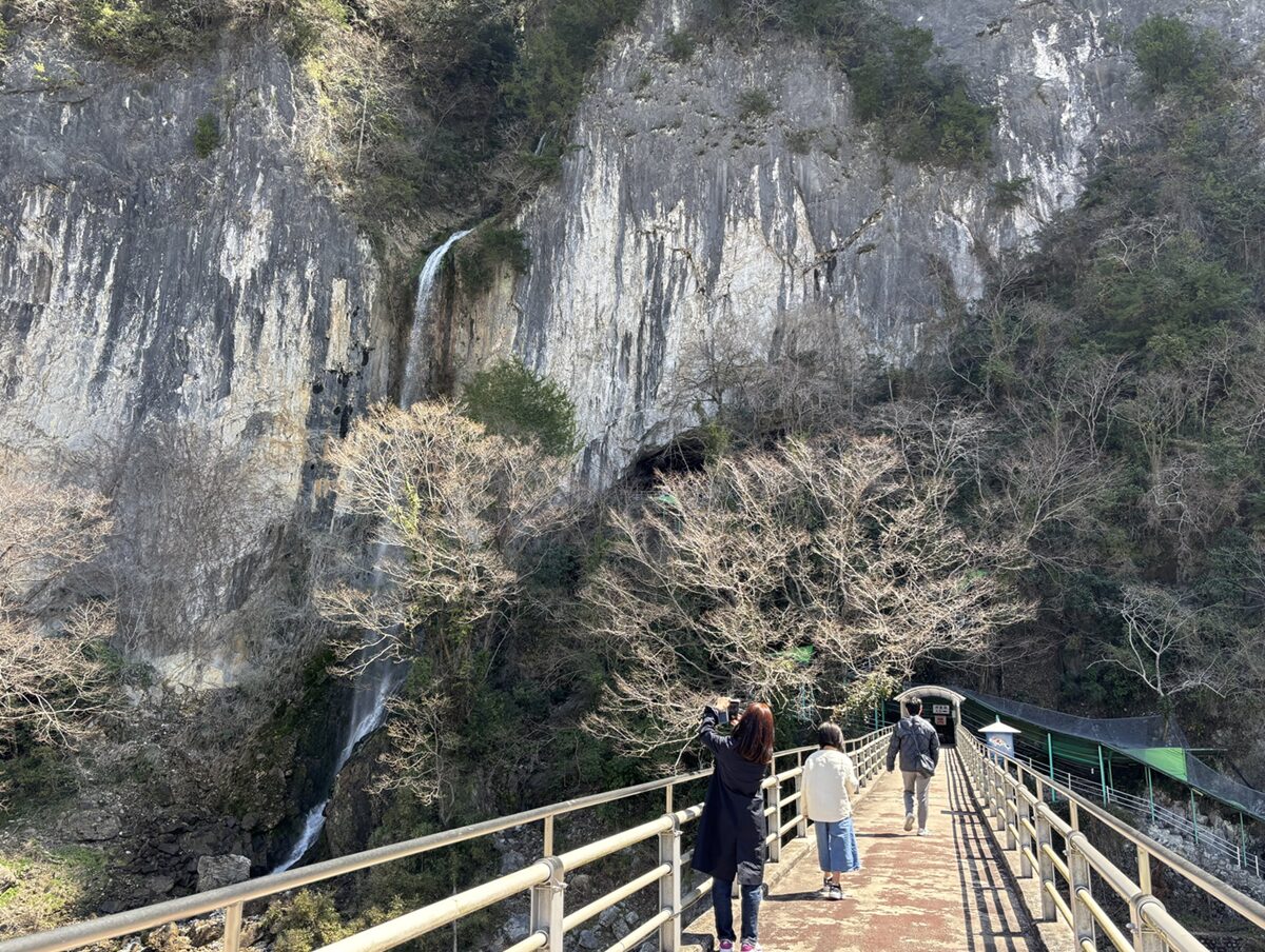 井倉洞の入口