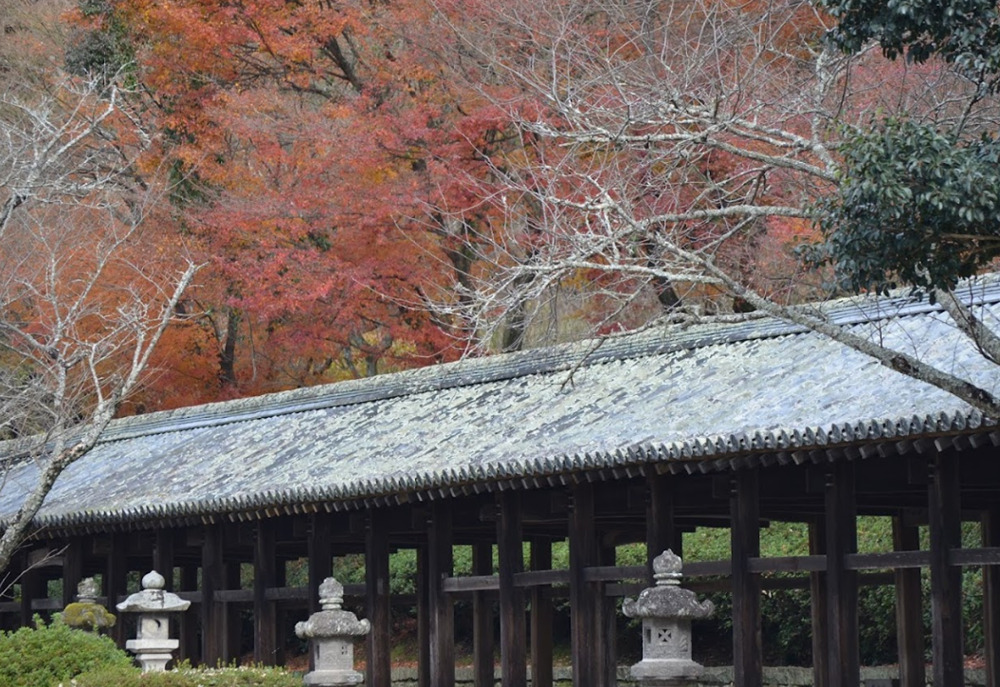 吉備津神社の紅葉