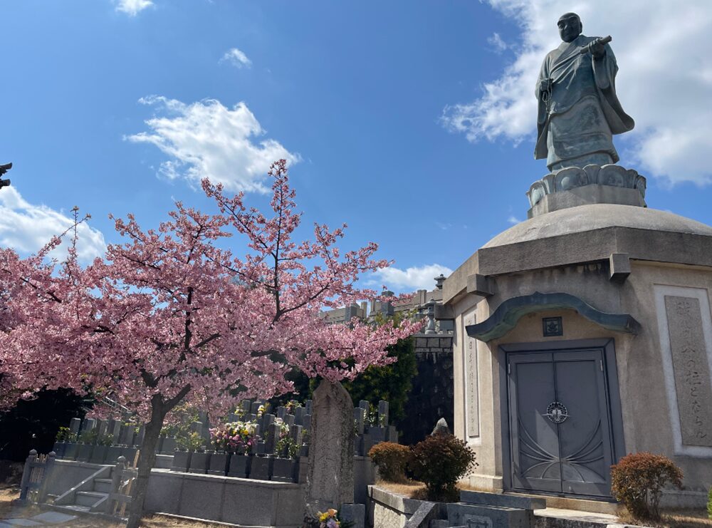 妙林寺の銅像と河津桜