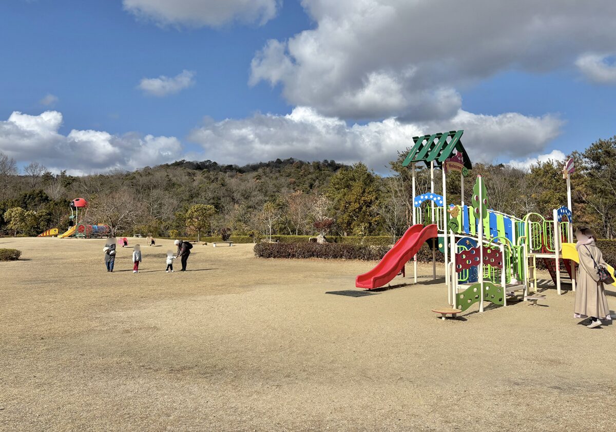 岡山市日応寺自然の森スポーツ広場の遊具
