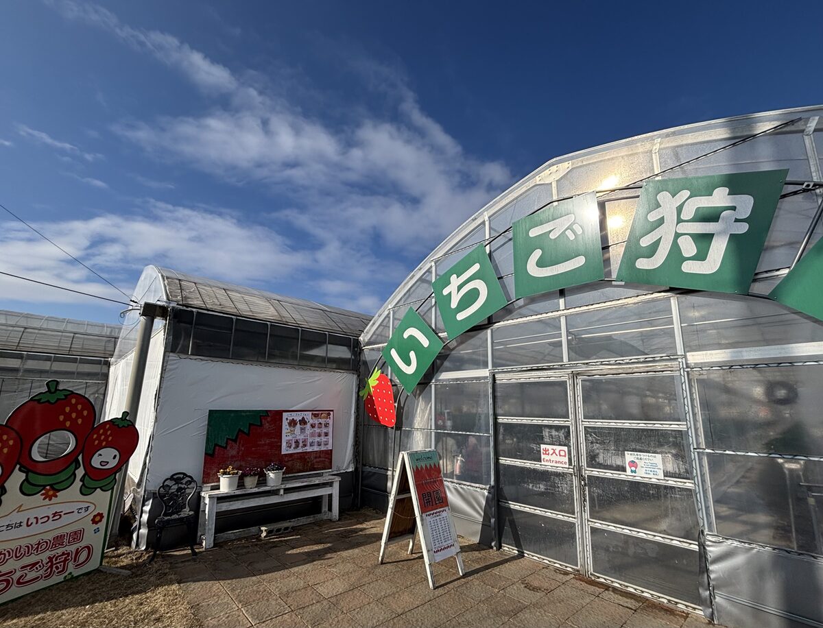 農マル園芸あかいわ農園のイチゴハウス