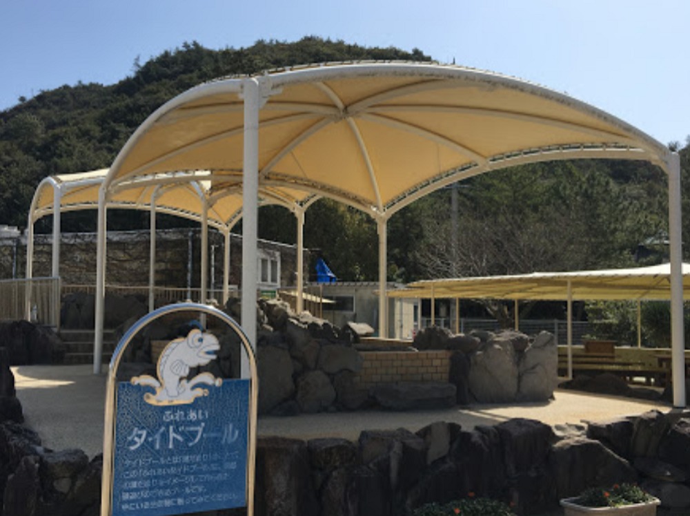 渋川マリン水族館（市立玉野海洋博物館）のタイドプール