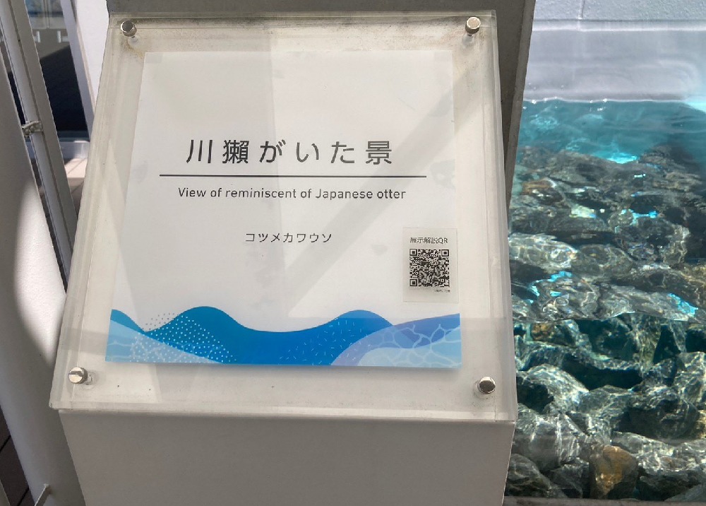 四国水族館のカワウソコーナー