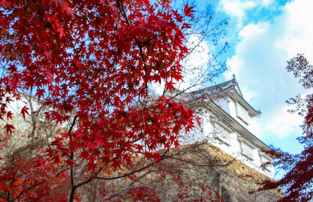 津山城と紅葉