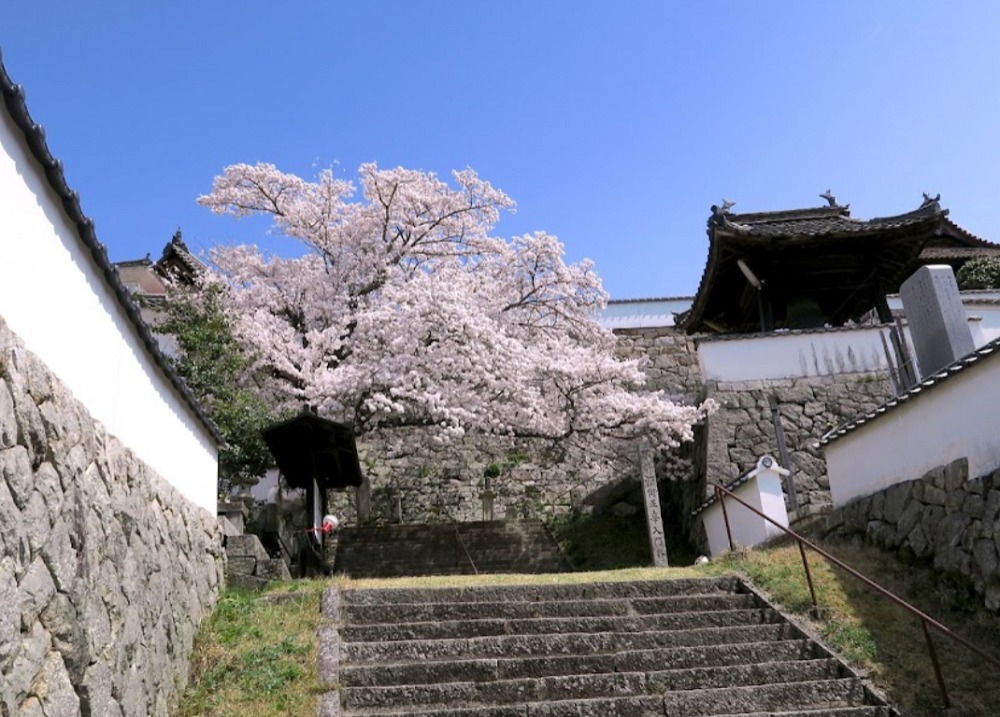 松連寺の入口