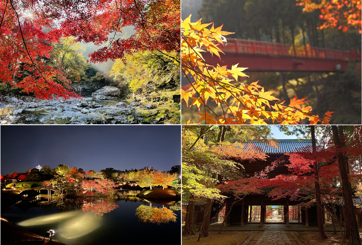 岡山県で紅葉が美しい名所まとめ