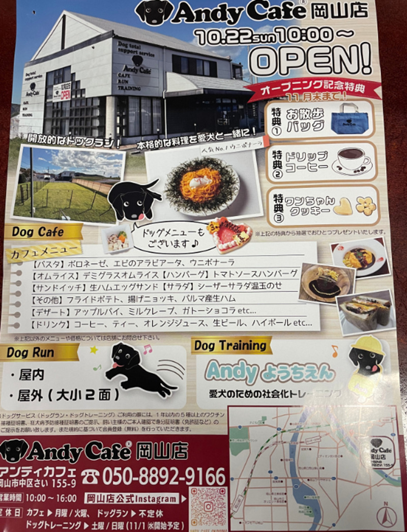 アンディカフェ（andy cafe）岡山店チラシ