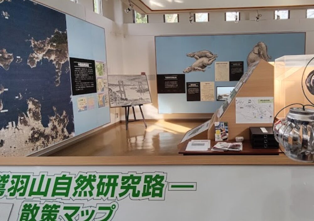 鷲羽山ビジターセンターの展示