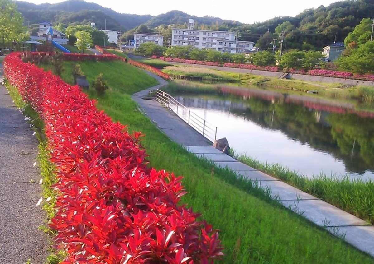 玉原親水公園