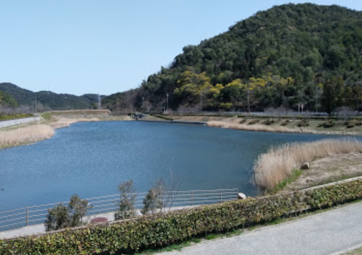 玉原親水公園の風景