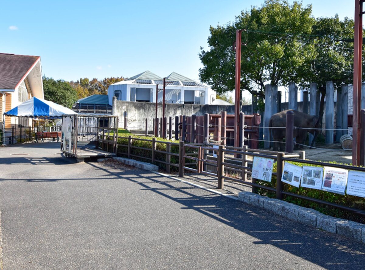 福山市立動物園の様子
