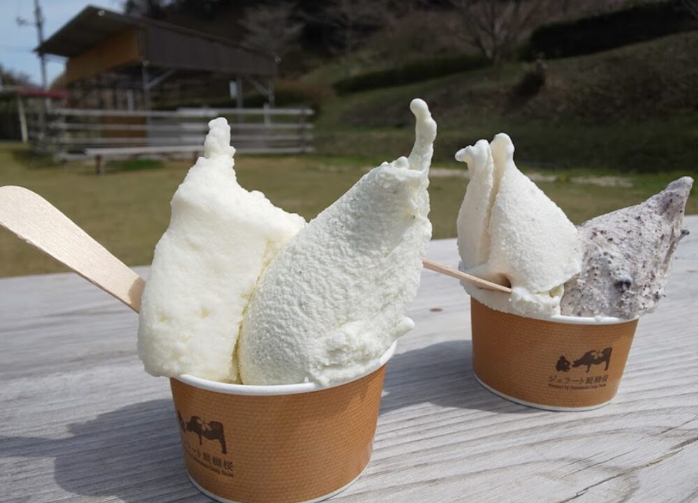 ジェラート醍醐桜のアイス