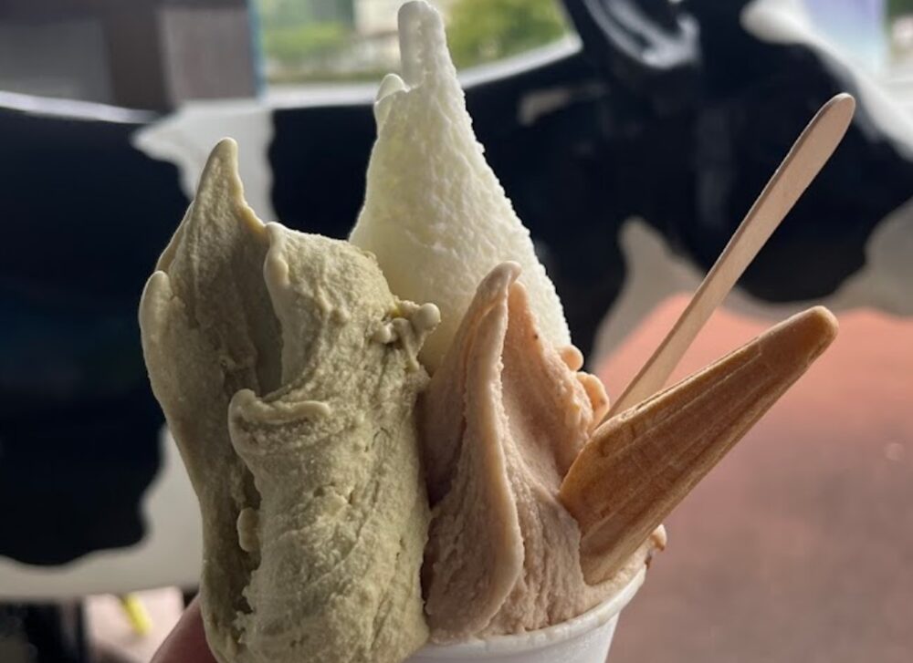 徳山牧場 アイス工房のアイス