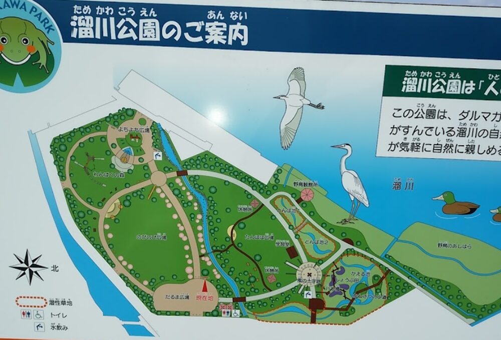 溜川公園のマップ