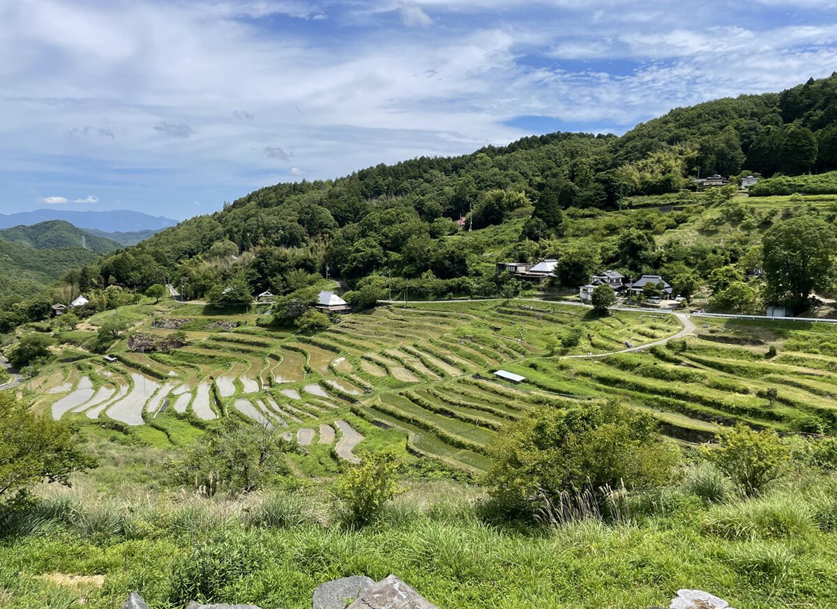上山の棚田