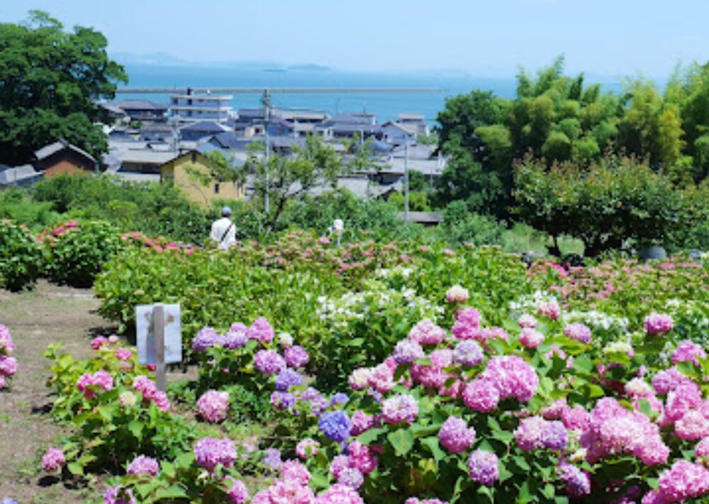 国頭あじさい園の風景