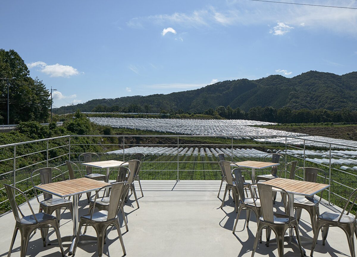 domaine tettaドメーヌテッタテラス